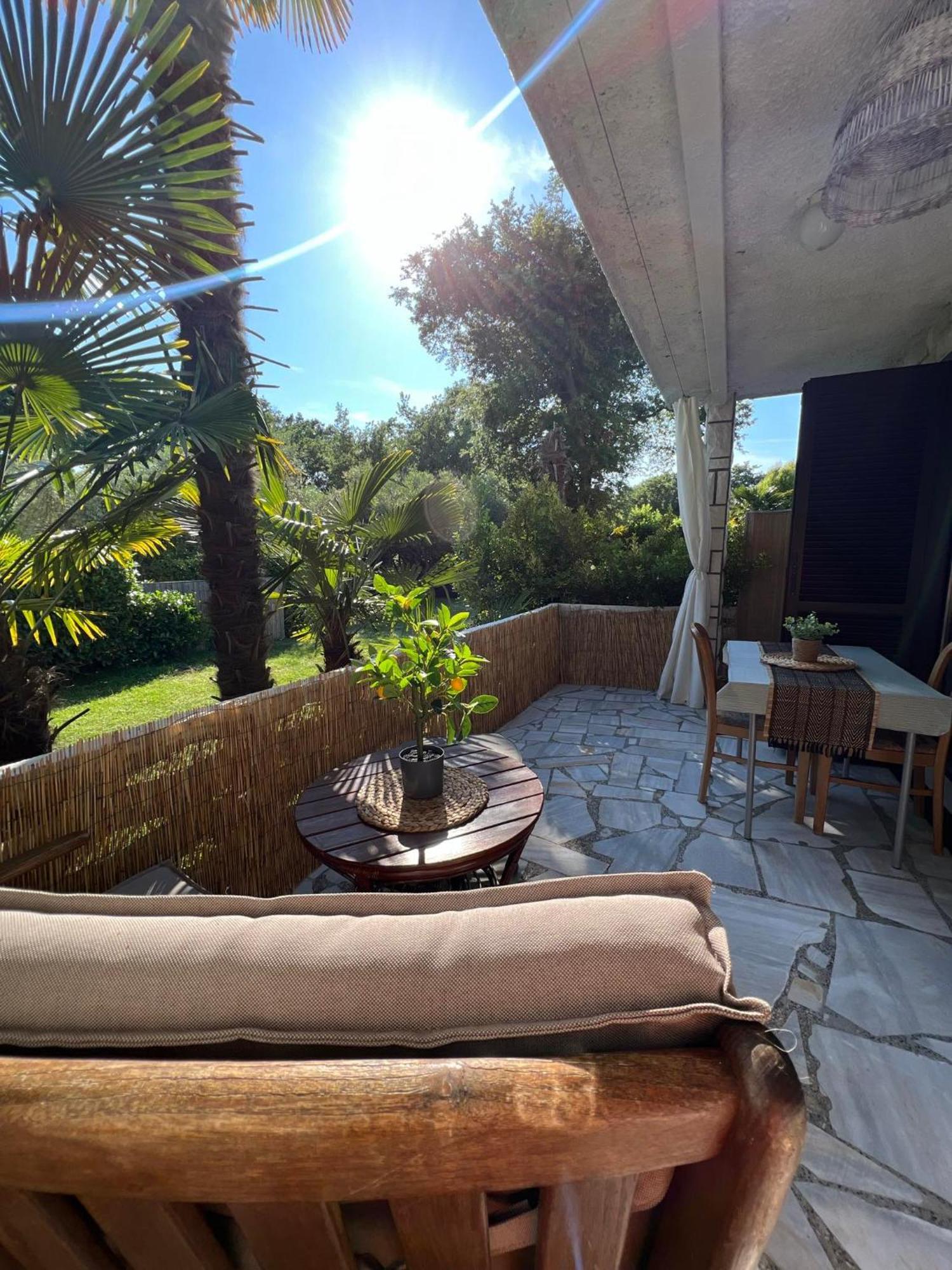 Apartment Villa Angelina, 70M From The Beach, Free Parking Novigrad Istria Dış mekan fotoğraf